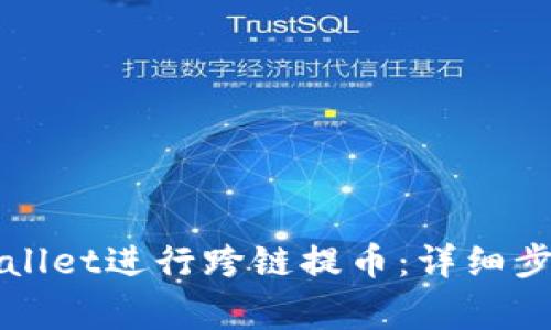 如何使用TPWallet进行跨链提币：详细步骤和注意事项