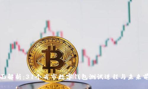 全面解析：31个省市数字钱包测试进程与未来前景
