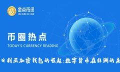 尼日利亚加密钱包的崛起：数字货币在非洲的未