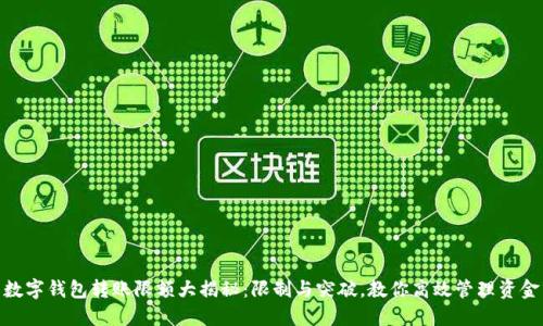 数字钱包转账限额大揭秘：限制与突破，教你高效管理资金