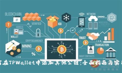 : 如何在TPWallet中添加其他公链：全面指南与实用技巧