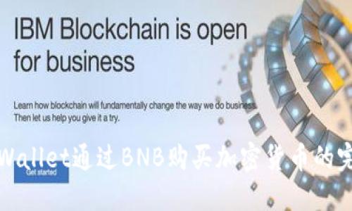 使用TPWallet通过BNB购买加密货币的完整指南