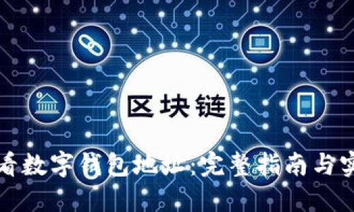 如何查看数字钱包地址：完整指南与实用技巧
