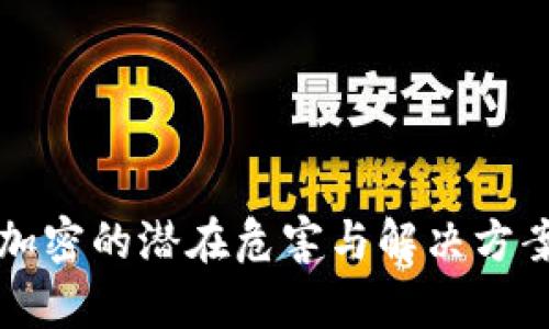 钱包加密的潜在危害与解决方案解析