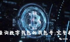 如何轻松查询数字钱包的
