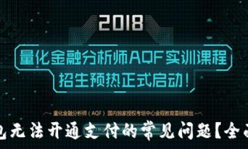  
如何解决数字钱包无法开通支付的常见问题？全面解析及解决方案