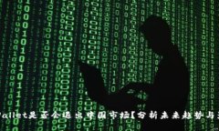 TPWallet是否会退出中国市场