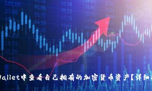如何在TPWallet中查看自己拥有的加密货币资产？详细指南与技巧