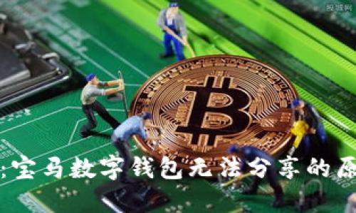 揭开神秘面纱：宝马数字钱包无法分享的原因与解决方案