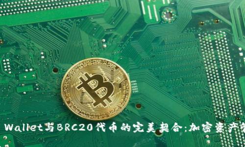 深入了解TP Wallet与BRC20代币的完美契合：加密资产管理的新纪元