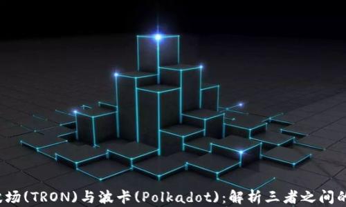 
TPWallet、波场(TRON)与波卡(Polkadot)：解析三者之间的关系与前景