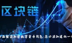 全面解读加密数字货币钱
