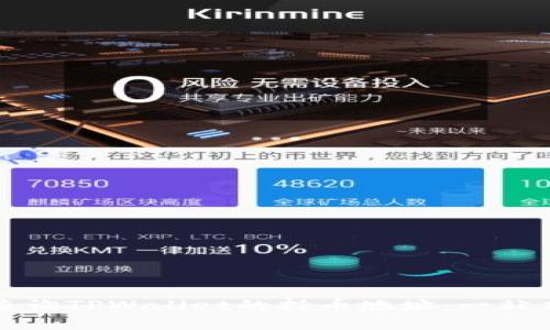 如何查询TPWallet的持币地址：一站式指南
