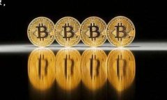 /如何使用token.im数字钱包