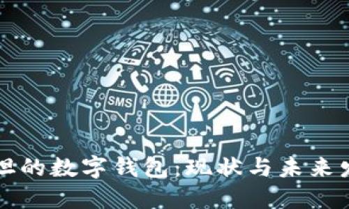 巴基斯坦的数字钱包：现状与未来发展趋势