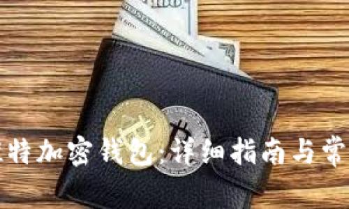 如何使用推特加密钱包：详细指南与常见问题解析