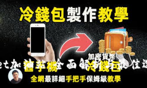 TPWallet加油站：全面解析与最佳选择指南