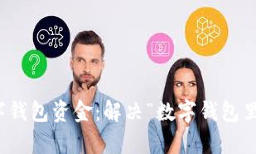 如何有效管理数字钱包资金：解决“数字钱包里面没有钱”的问题