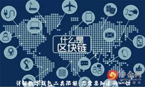 
详解数字钱包二类限额：你需要知道的一切