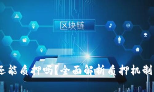 TPWalletNB币还能质押吗？全面解析质押机制与未来发展趋势