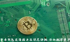十大加密货币钱包高清图