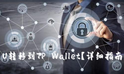 如何将欧易U转移到TP Wallet？详细指南与注意事项