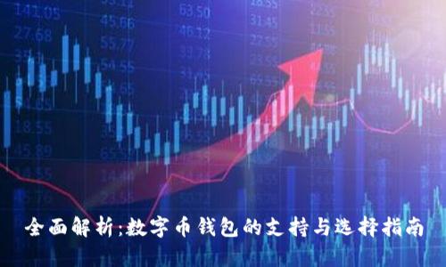 全面解析：数字币钱包的支持与选择指南