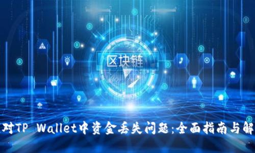 如何应对TP Wallet中资金丢失问题：全面指南与解决方案