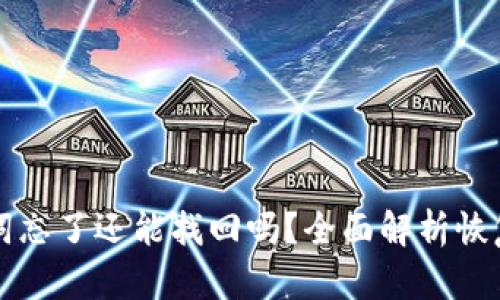 : TPWallet助记词忘了还能找回吗？全面解析恢复方法与安全隐患