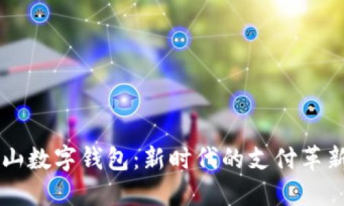 全面揭秘深圳坪山数字钱包：新时代的支付革新与财务管理助手