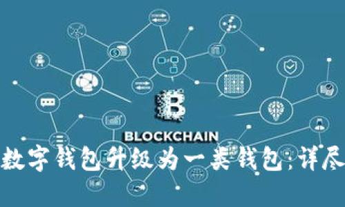 如何将三类数字钱包升级为一类钱包：详尽指南与策略