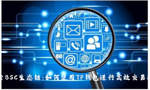 探索BSC生态链：如何使用TP钱包进行高效交易指南