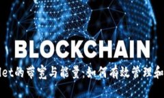 彻底了解TPWallet的带宽与能