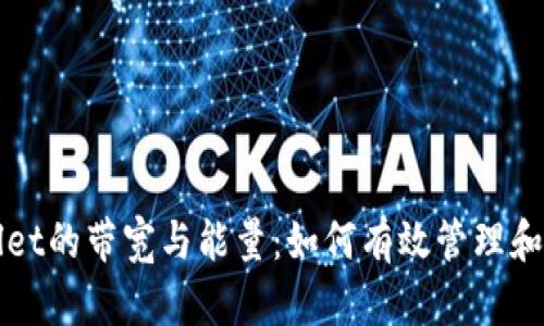 彻底了解TPWallet的带宽与能量：如何有效管理和使用这两大资源