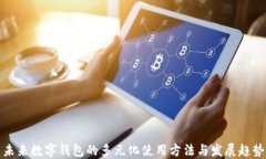 未来数字钱包的多元化使