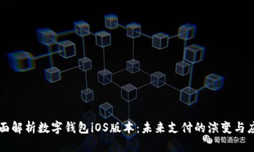 全面解析数字钱包iOS版本：未来支付的演变与应用