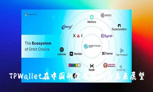 TPWallet在中国的使用现状与未来展望