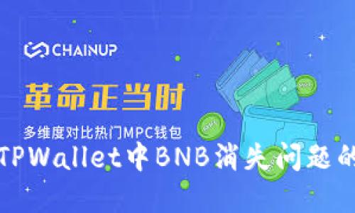 如何解决TPWallet中BNB消失问题的全面指南