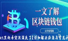TPWallet里的币突然消失了？