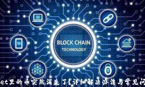 
TPWallet里的币突然消失了？详细解决办法与常见问题解析