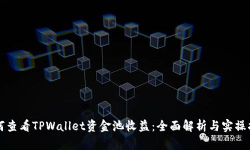 如何查看TPWallet资金池收益：全面解析与实操指南