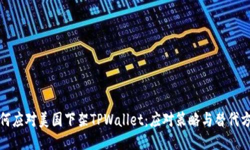如何应对美国下架TPWallet：应对策略与替代方案