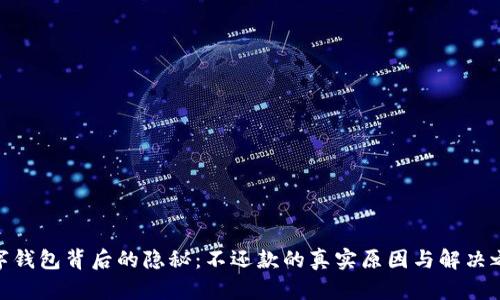 数字钱包背后的隐秘：不还款的真实原因与解决之道