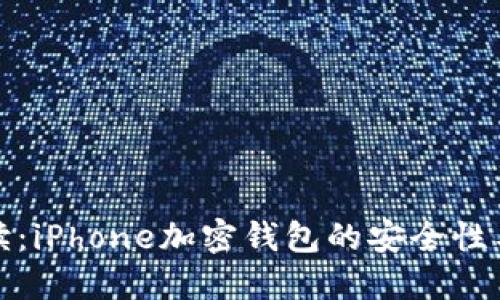 全方位解读：iPhone加密钱包的安全性与使用技巧