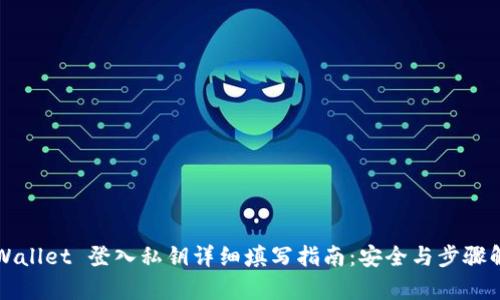 TPWallet 登入私钥详细填写指南：安全与步骤解析