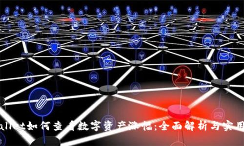 TPWallet如何查看数字资产涨幅：全面解析与实用指南