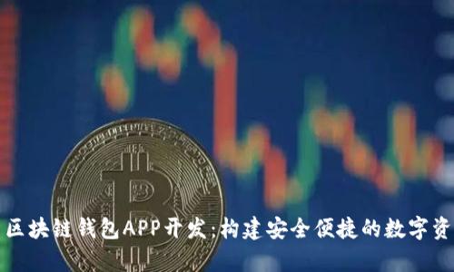 全方位解析区块链钱包APP开发：构建安全便捷的数字资产管理工具