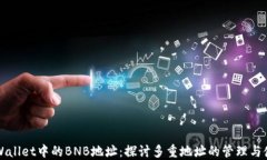 TPWallet中的BNB地址：探讨多