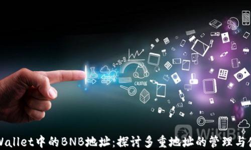 
TPWallet中的BNB地址：探讨多重地址的管理与使用