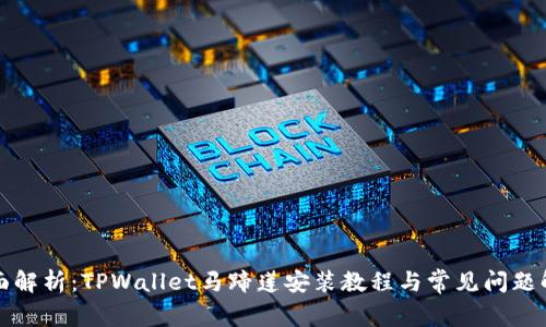 全面解析：TPWallet马蹄莲安装教程与常见问题解答